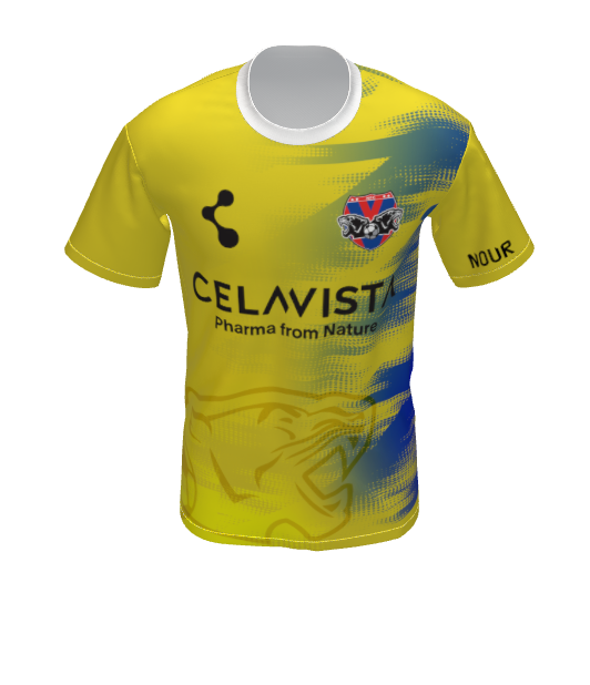 MAILLOT JAUNE