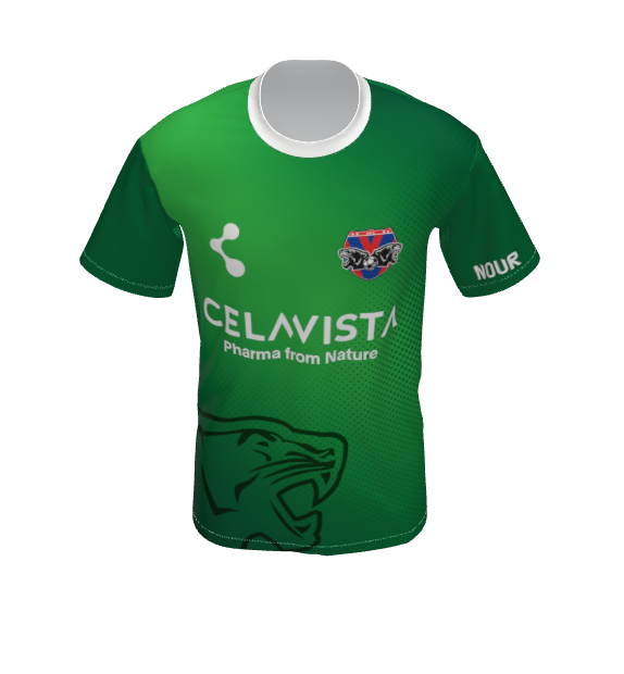 MAILLOT VERT